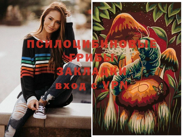 винт Алзамай