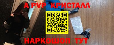 экстази Кингисепп