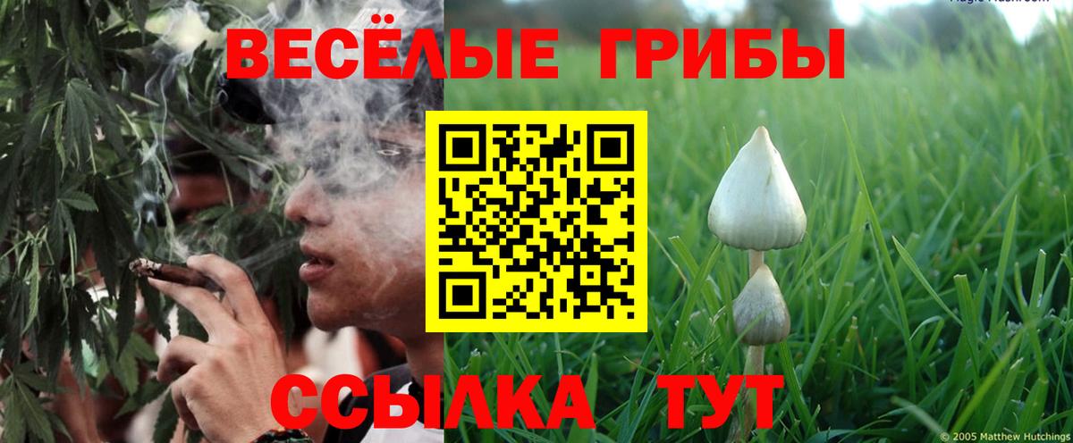 Галлюциногенные грибы MAGIC MUSHROOMS Бугуруслан