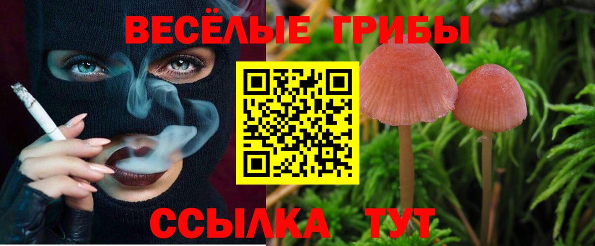 Бугуруслан  Псилоцибиновые грибы прущие грибы  Вход с VPN 